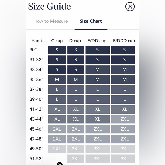 Evelyn & Bobbie L Structured Scoop Bra Brown NWT - Picture 7 of 7